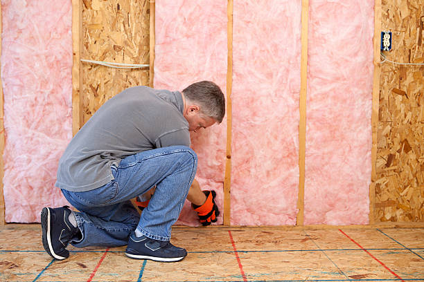 Best Specialty Insulation in Manson, IA