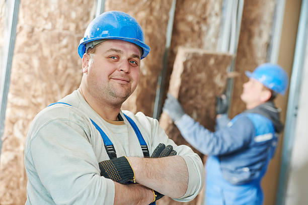 Best Insulation Installation Services in Manson, IA