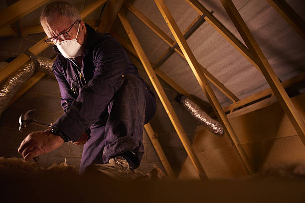 Best Energy Efficiency Solutions in Manson, IA